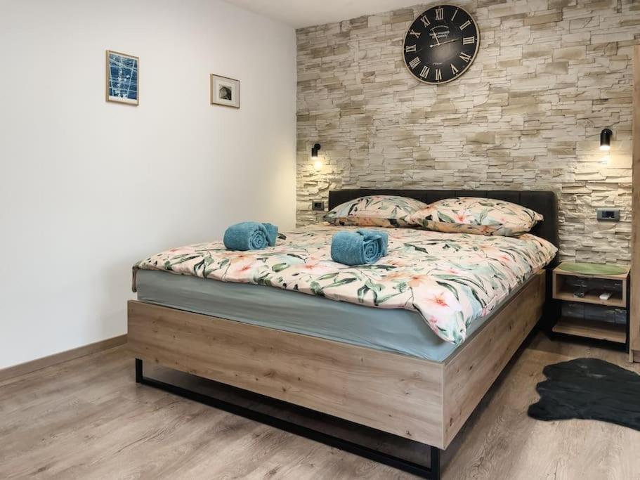 Cozy Newly-renovated Ivan Rijeka